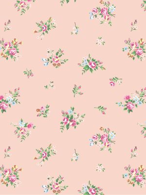  fB[Y ˔ (50)