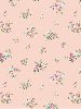  fB[Y ˔ (50)
